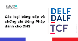 Cac loai bang cap va chung chi tieng phap