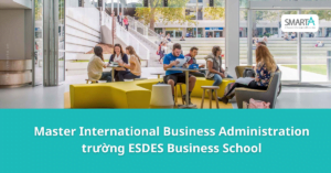Master in Management in ESDES