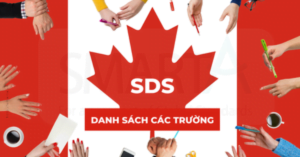 chương trình SDS