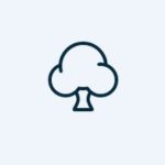 Tư vấn Du học SmartA