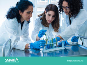 Kỹ sư hóa học (Chemical Engineer)