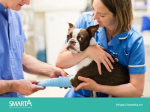 Bác sĩ thú y (Veterinarian)