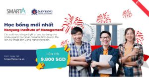 Nanyang Institute of Management Scholarship