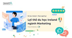 Số lượng công ty đa quốc gia hùng hậu ở Ireland đòi hỏi vai trò thiết yếu của lĩnh vực Marketing trong mọi loại hình doanh nghiệp