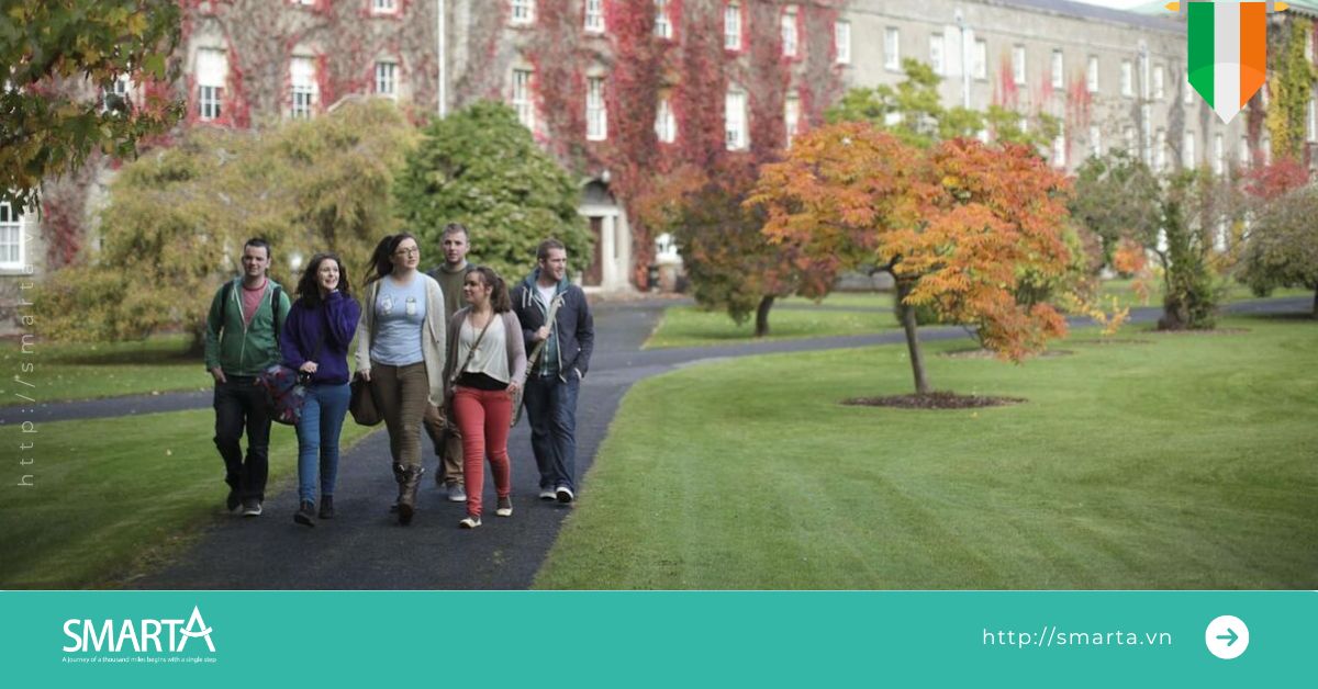 Third Level Graduate Scheme in Ireland