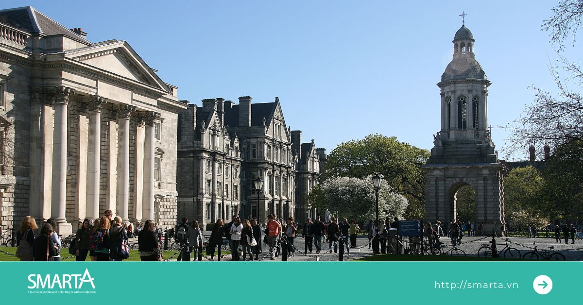 Trinity College Dublin yêu cầu đầu vào