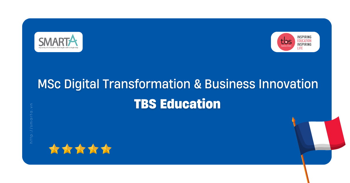MSc Digital Transformation and Business Innovation - TBS Education
